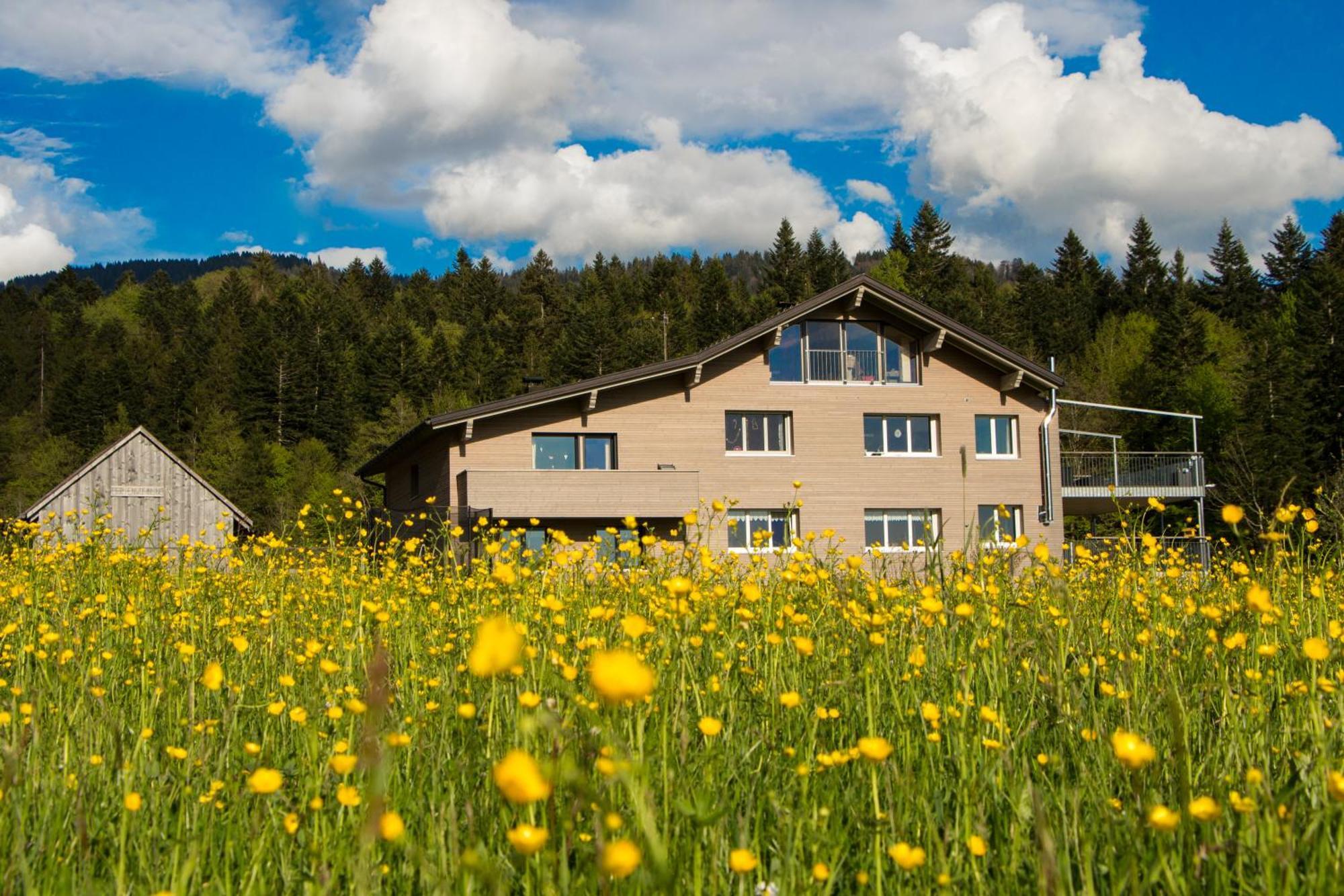 Appartamento Haus Feurstein Hittisau Esterno foto