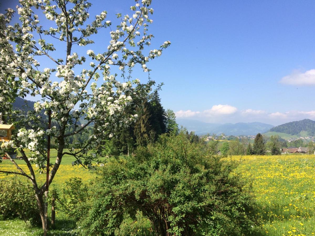 Appartamento Haus Feurstein Hittisau Esterno foto